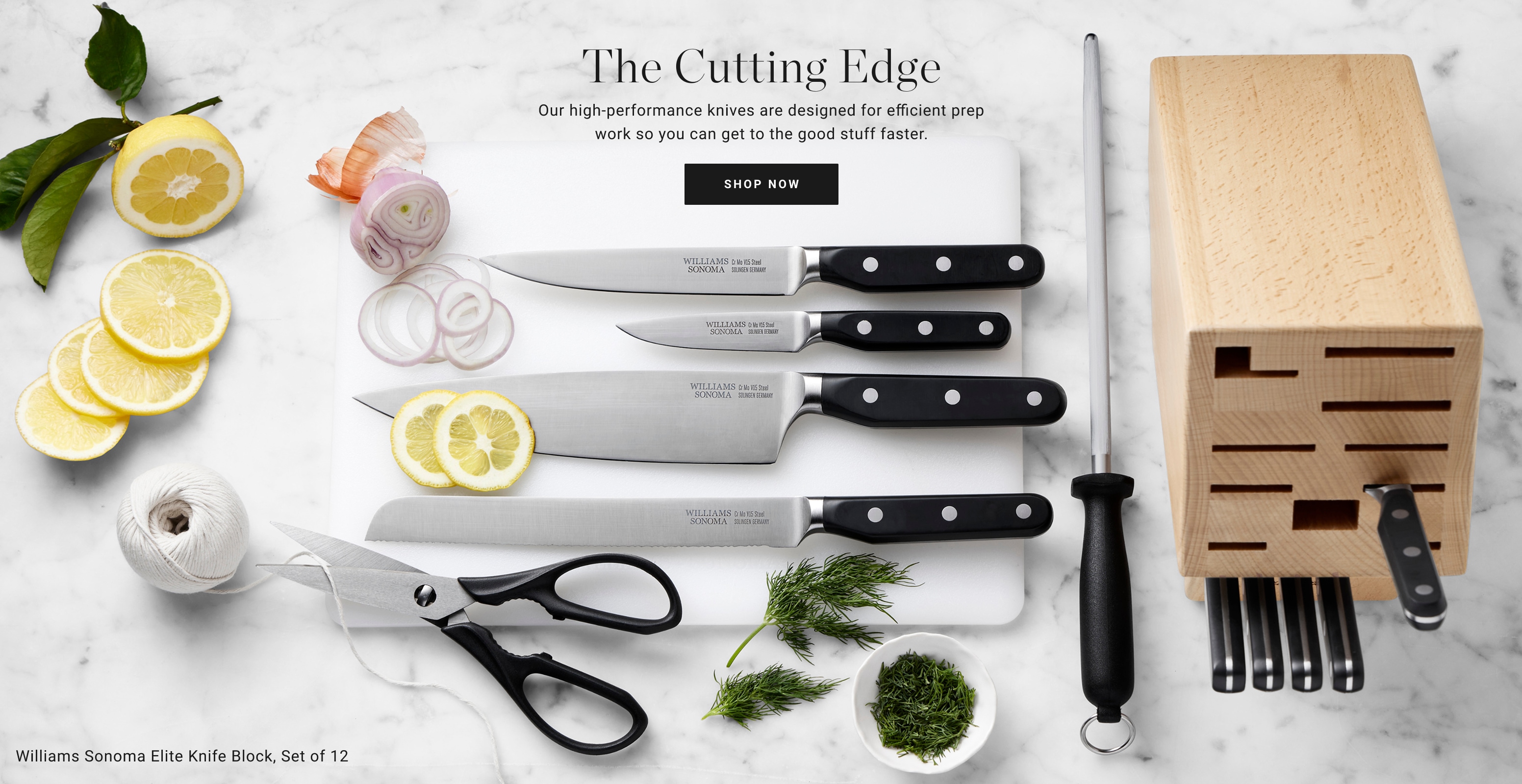 Williams Sonoma Elite Knife Block, Set of 12