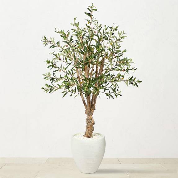 37.5 Greenery & Olive Stem by Bloom Room