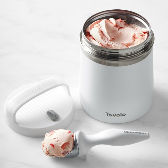 Tovolo Stainless-Steel Ice Cream Storage Container & Williams Sonoma Tilt  Up Scoop