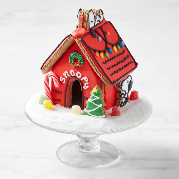 PEANUTS™ Holiday Platter | Williams Sonoma