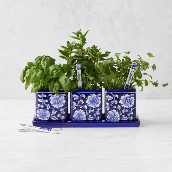 Blue & White Herb Garden Starter Set