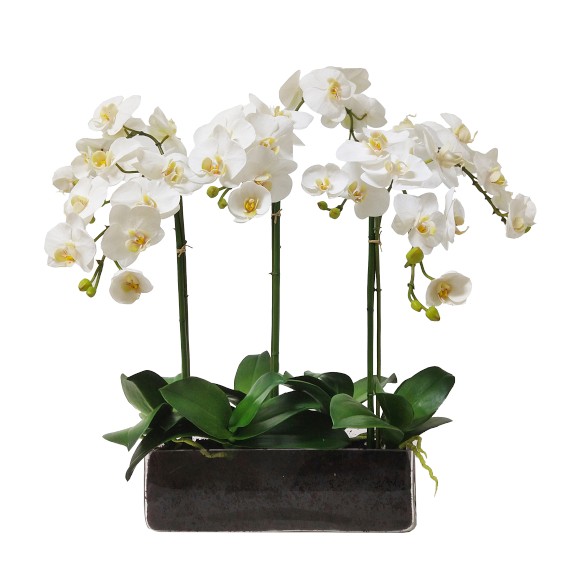 Dahlia Studios Potted Faux Artificial Flowers Realistic White Orchid in Black Pot for Home Decoration Living Room 25 1/2 High