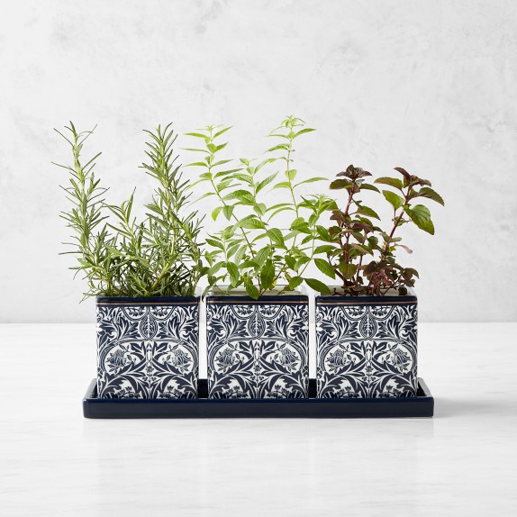 3 Pieces Metal Herb Potted Planter Tray Set Included 96 Piece