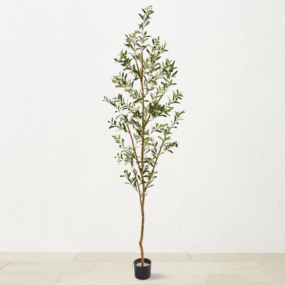 5' Faux Indoor Silk Olive Tree