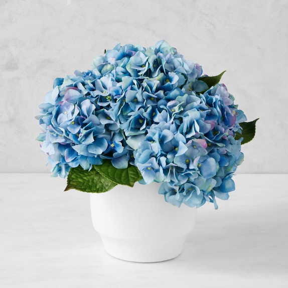 Real Touch Blue Hydrangea Arrangement in Glass Vase, French