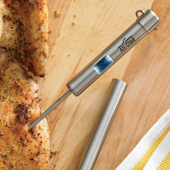 Williams Sonoma Dial Display Meat Thermometer | Williams Sonoma