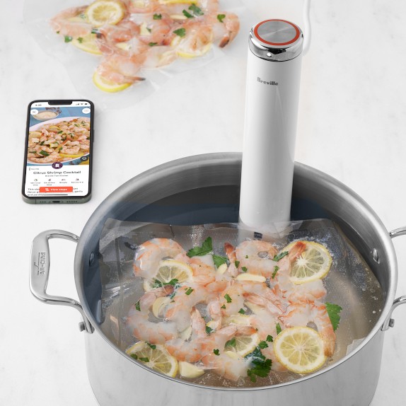 Poids Sous Vide En Maille Acier Inoxydable Qualité Alimentaire – Accessoire Cuisson Immersion Pour Repas Sains Et Parfaits