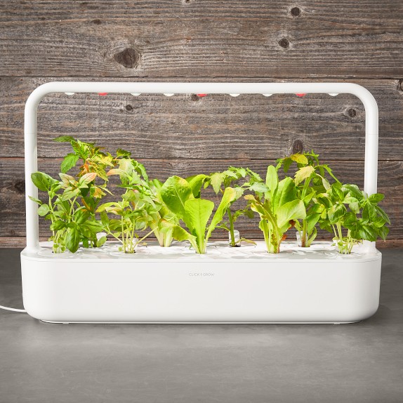 Click and Grow Smart Garden - 9-Pod | Williams Sonoma