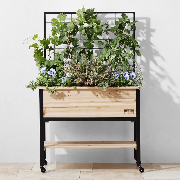 Click and Grow Smart Garden - 9-Pod | Williams Sonoma