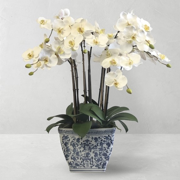 Faux Orchids in Planter, 23 Faux Orchids in Planter, 23