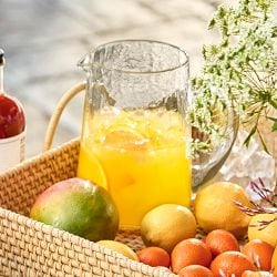 Trisha Yearwood x Williams Sonoma Summer in a Cup, Sunshine Cocktail Mix