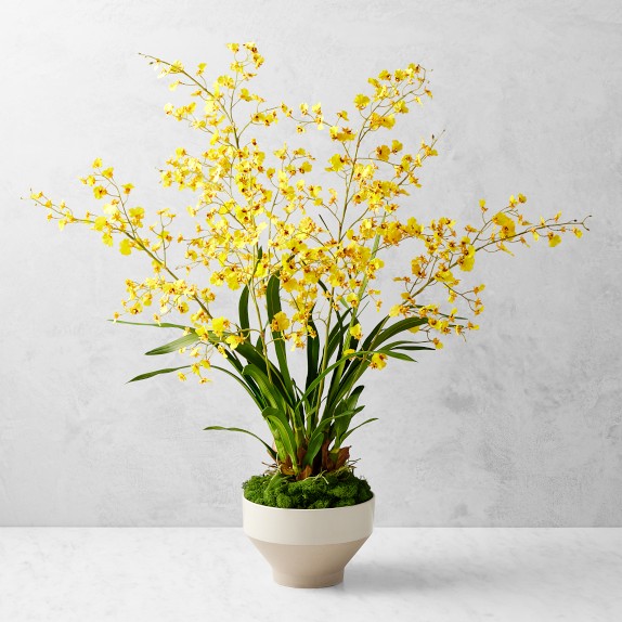 Jeff Leatham Faux Orchid in Bowl, 25