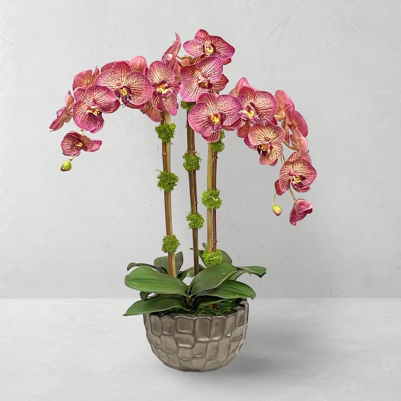 Jeff Leatham Faux Orchid in Bowl, 25