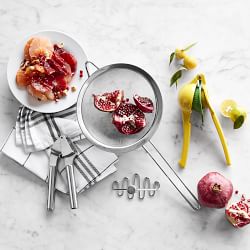 Open Kitchen by Williams Sonoma Dual Lemon Lime Citrus Press