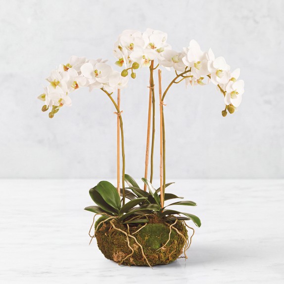 Faux Orchids in Planter, 28